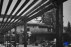 1950s back garden